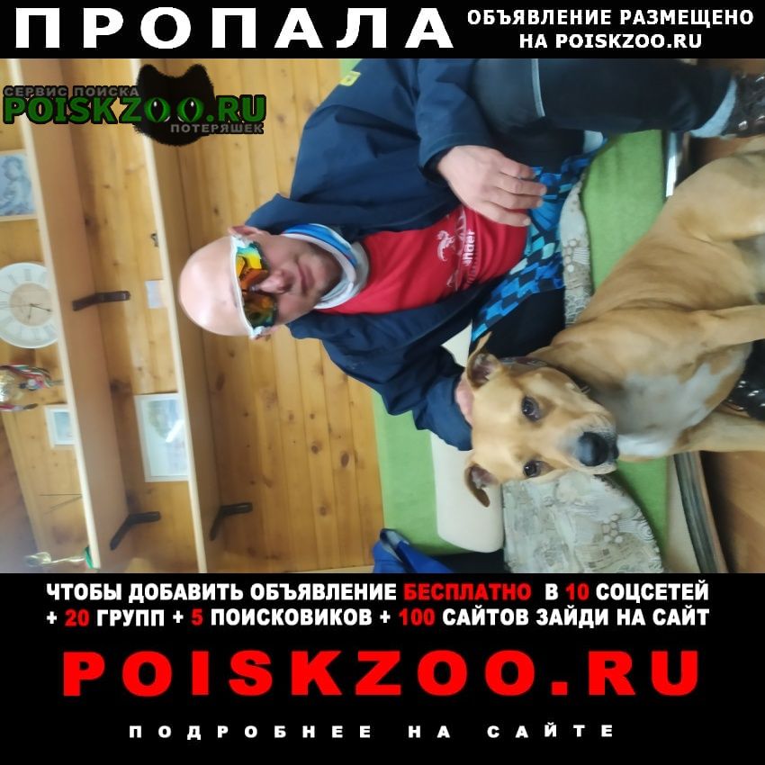 ���� ������� ������, � ��������, 19. ������ 20