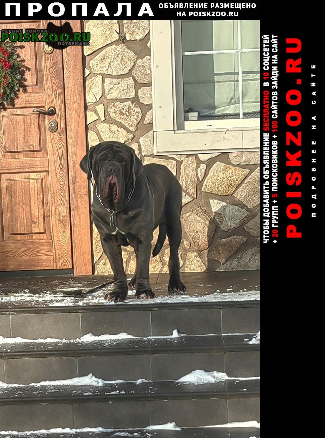 ���� ������� ������ ������