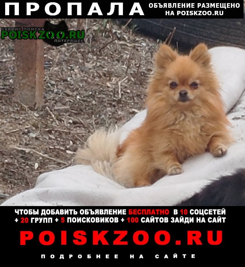 ���� ������� ������ ������ ������� �����