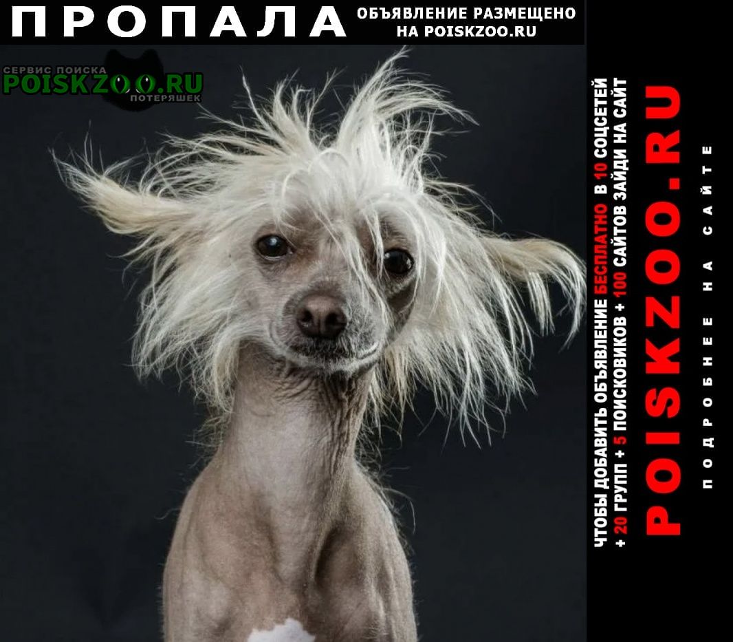 ���� ������� ������ ������ ��������� �������� �����