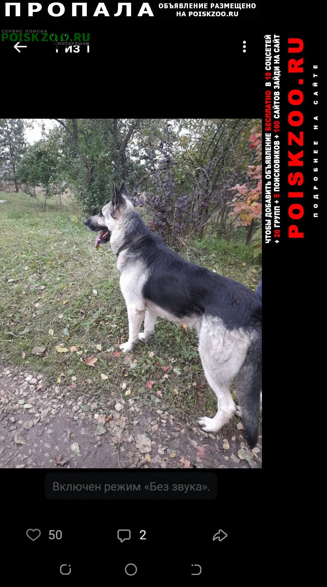 ���� ������� ������ ������