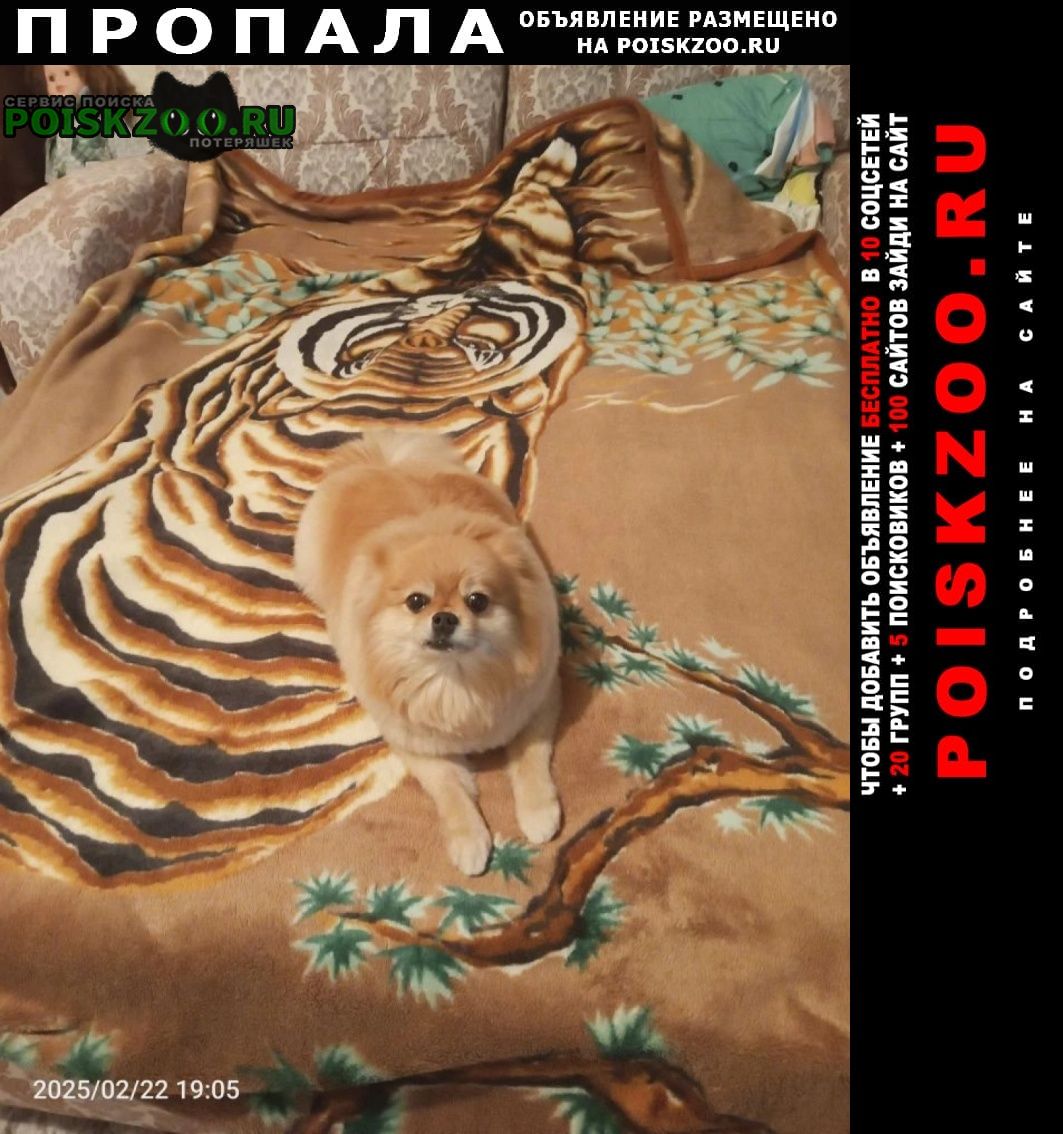 ���� ������� ������ ������ ���� �������� �����