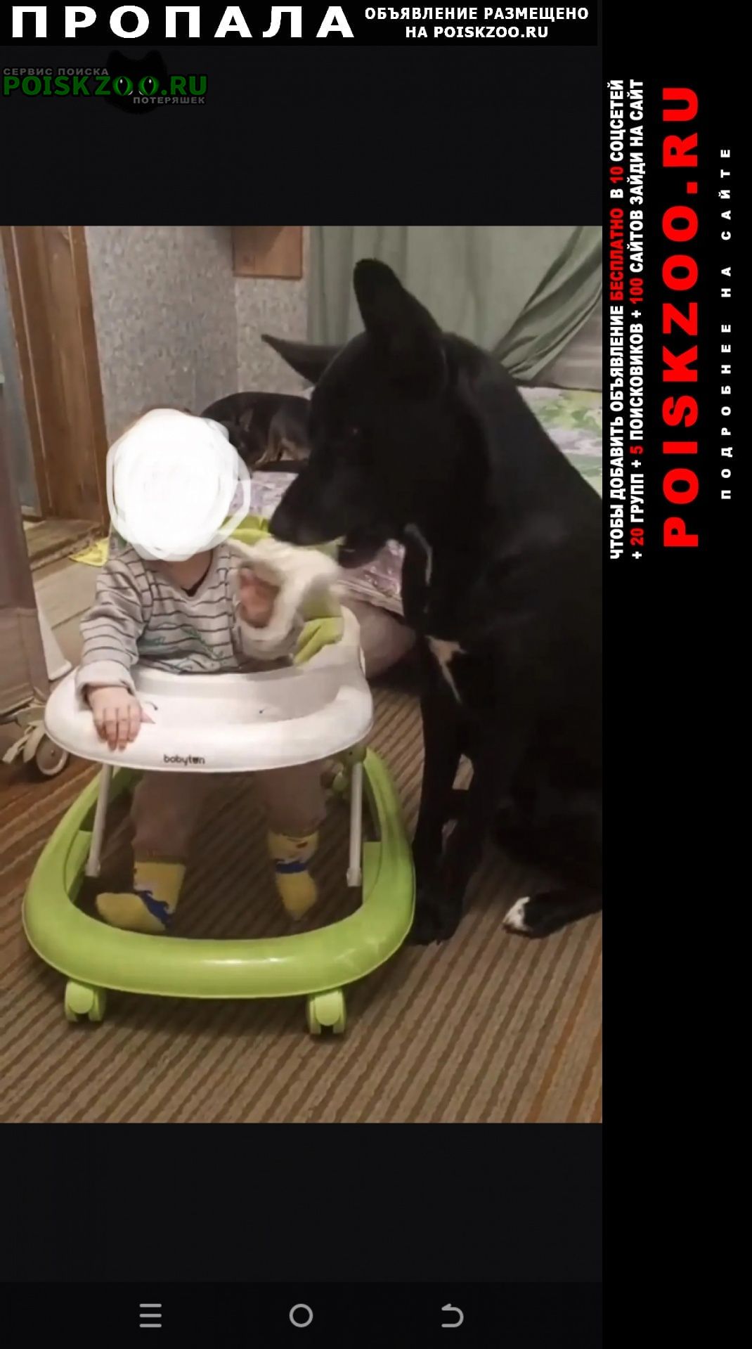 ���� �������� �����