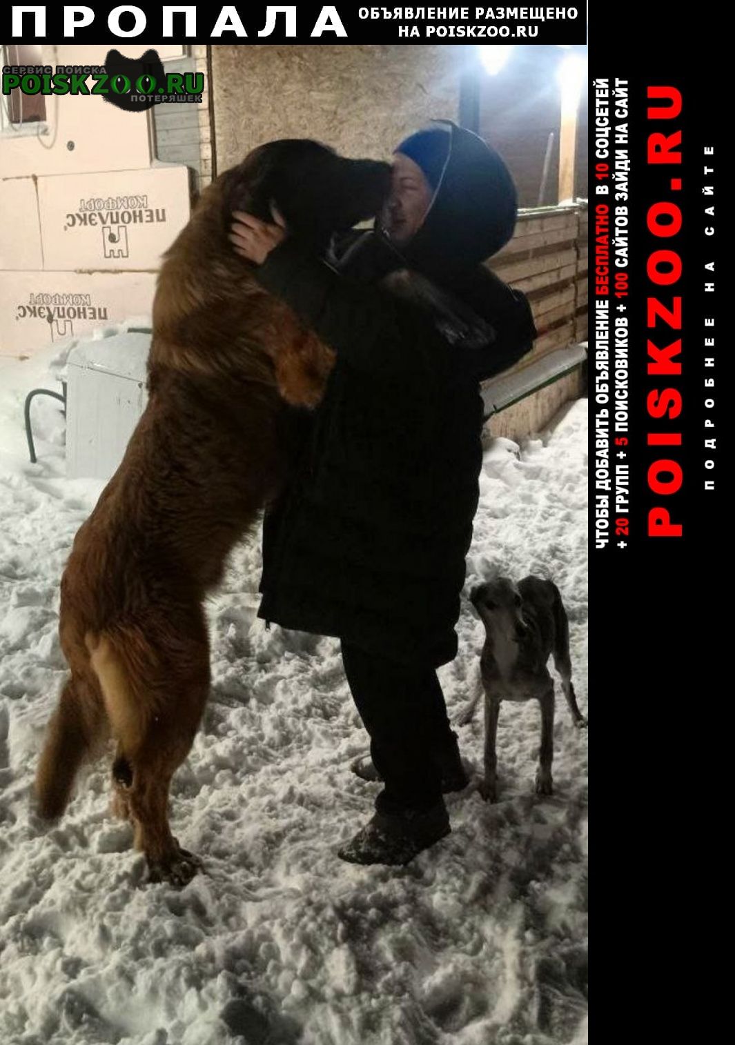 ���� ������� ������