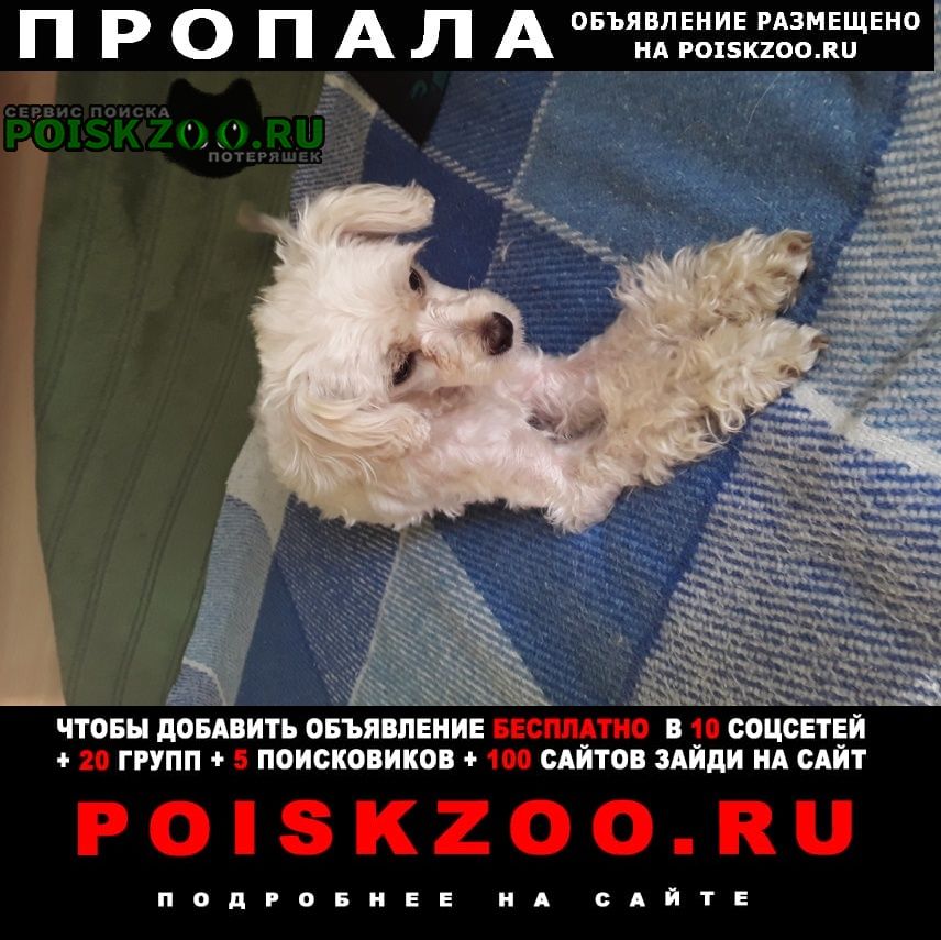 ���� ������� ������