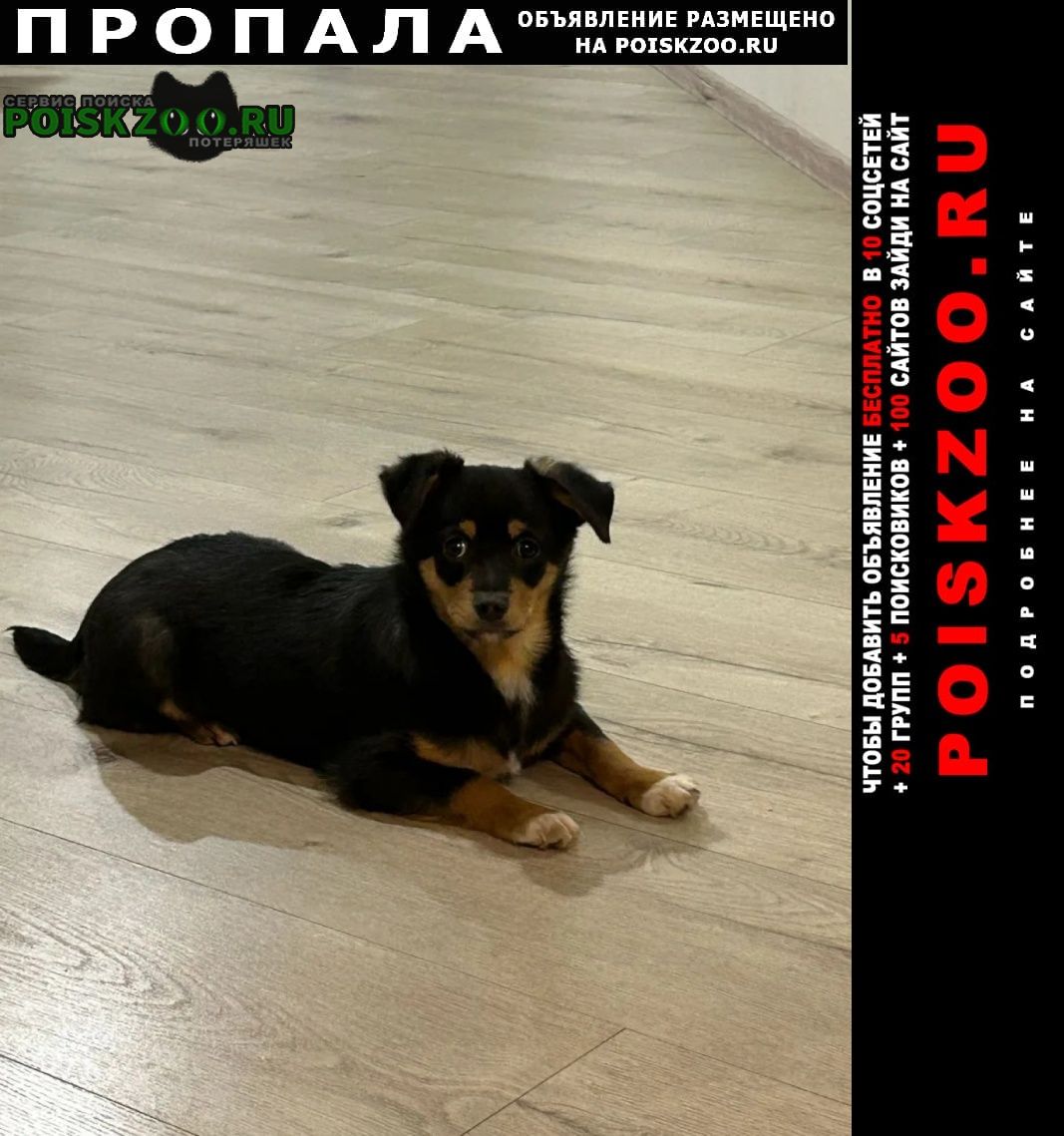 ���� ������� ������ ������