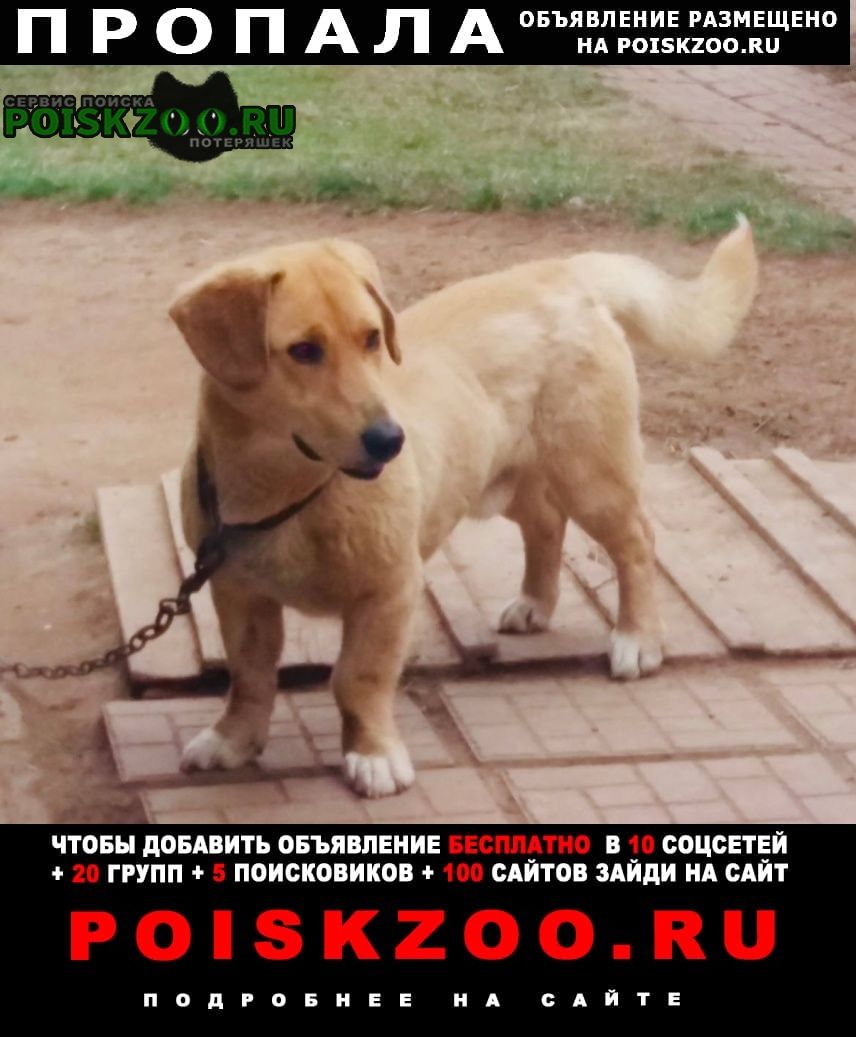 ���� ������� ������ ������