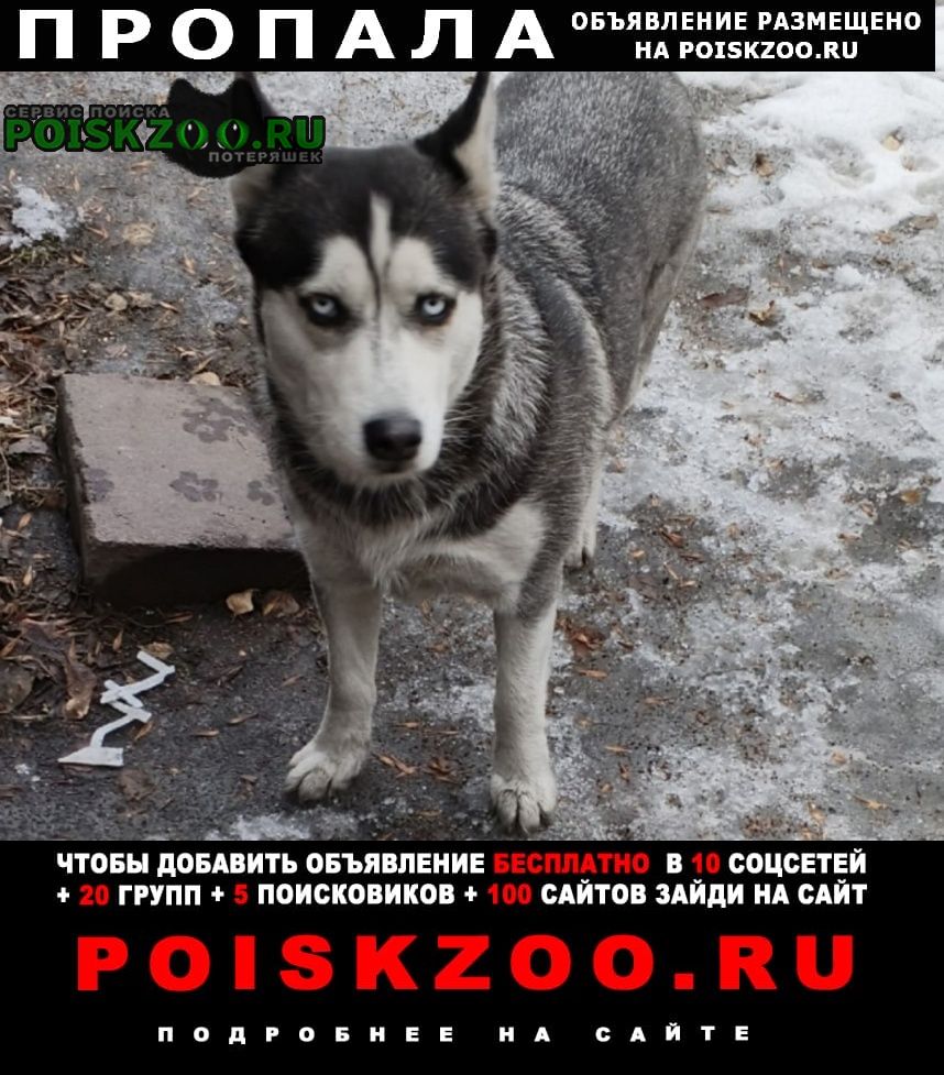 ���� ������� ������