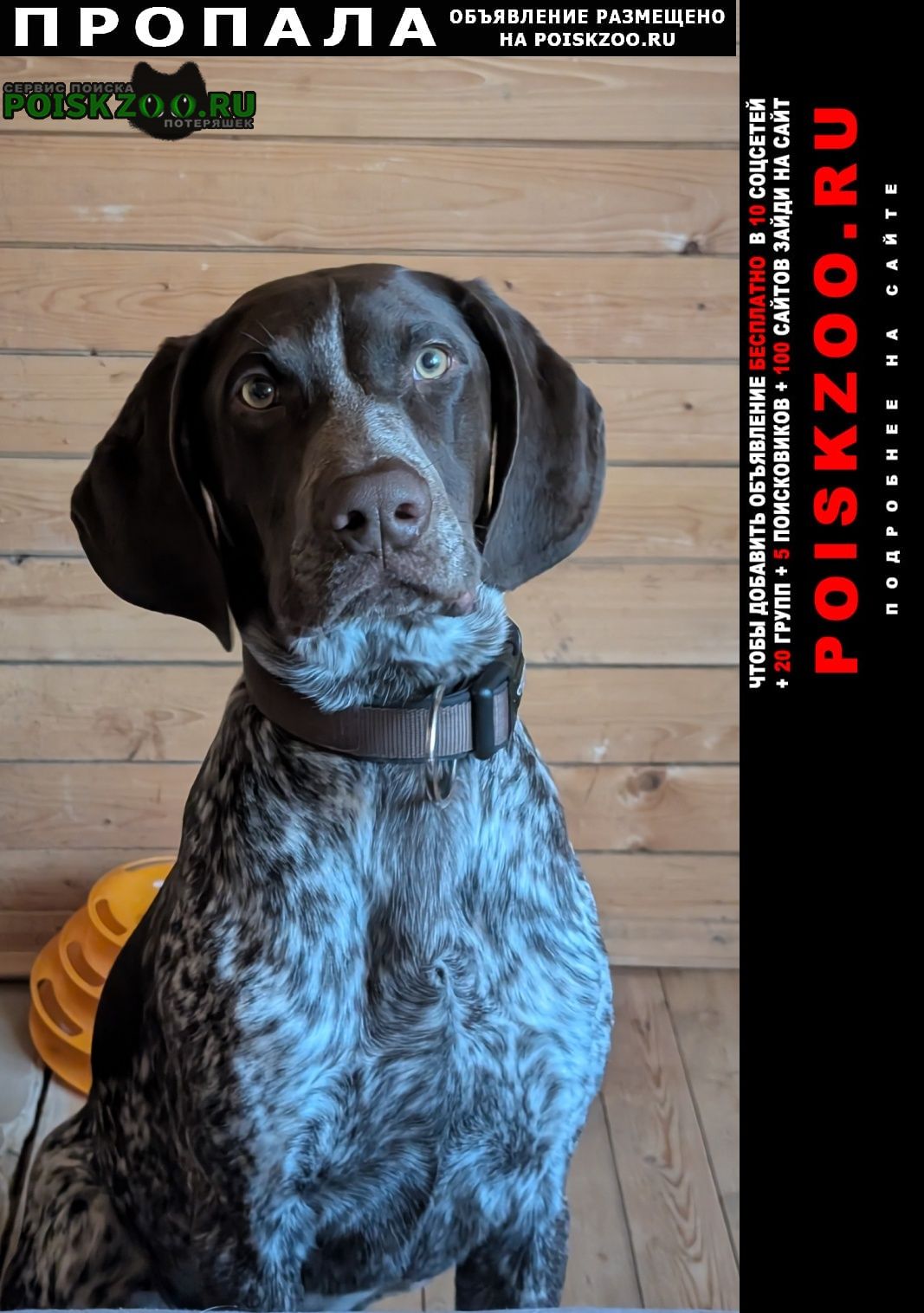 ���� ������� ������ ������ ����