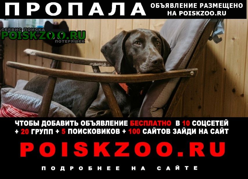 ���� ������� ������ ������