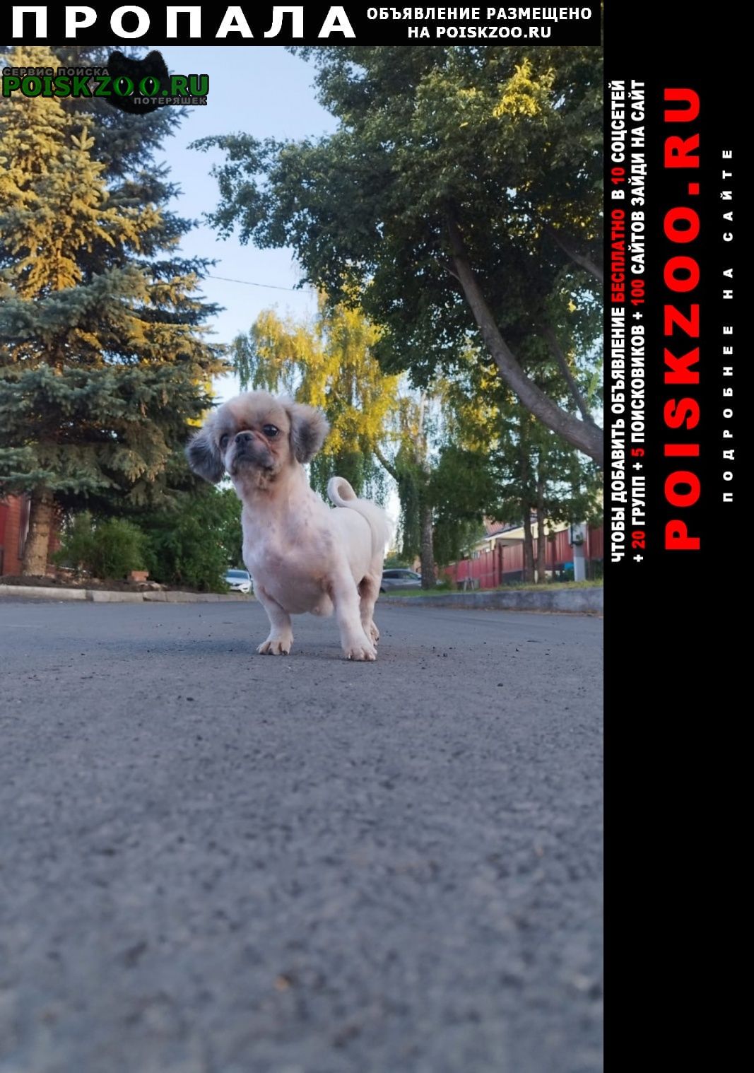 ���� ������� ������