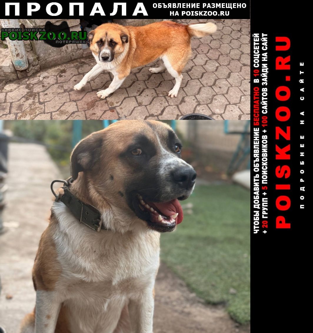 ���� ������� ������