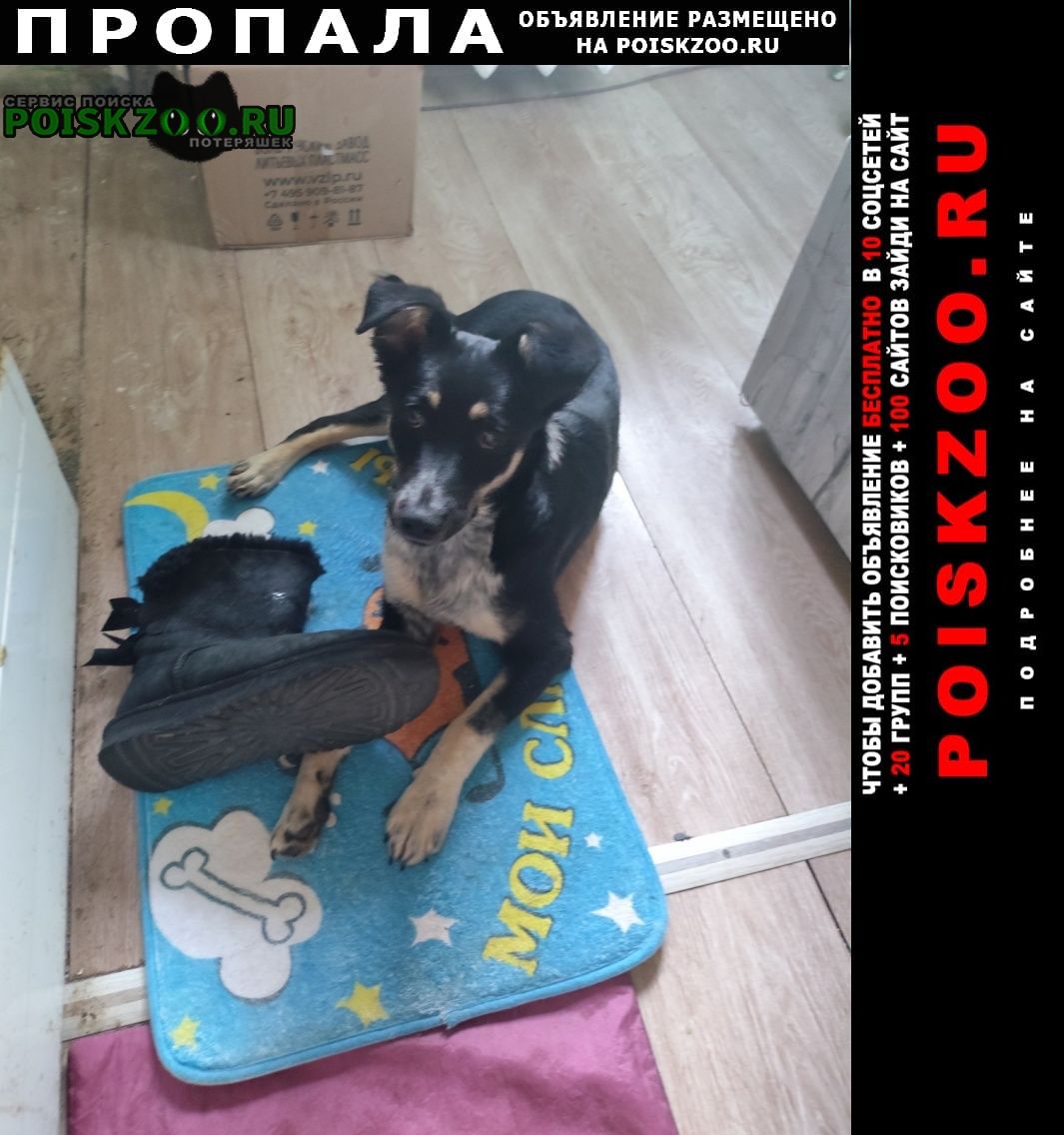 ���� ������� ������ ������ ������ ����� ���������