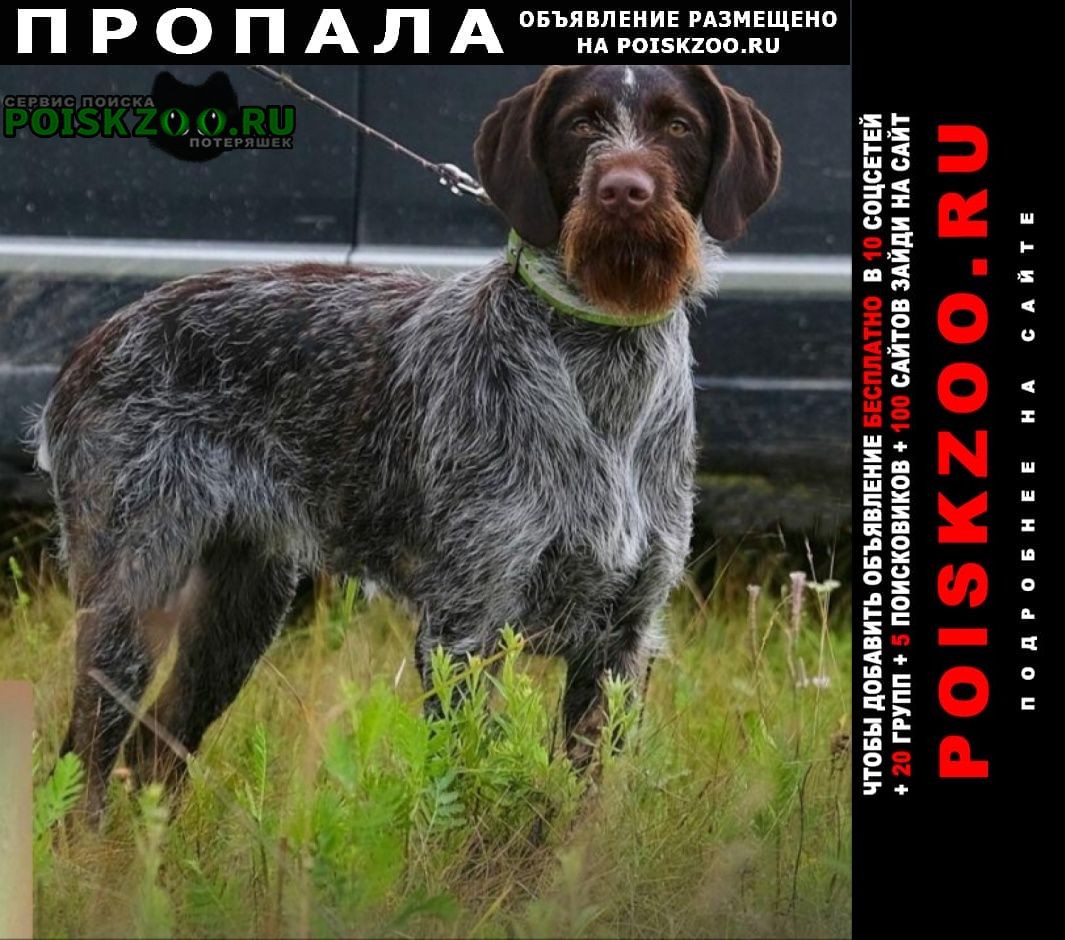 ���� ������� ������ ��������