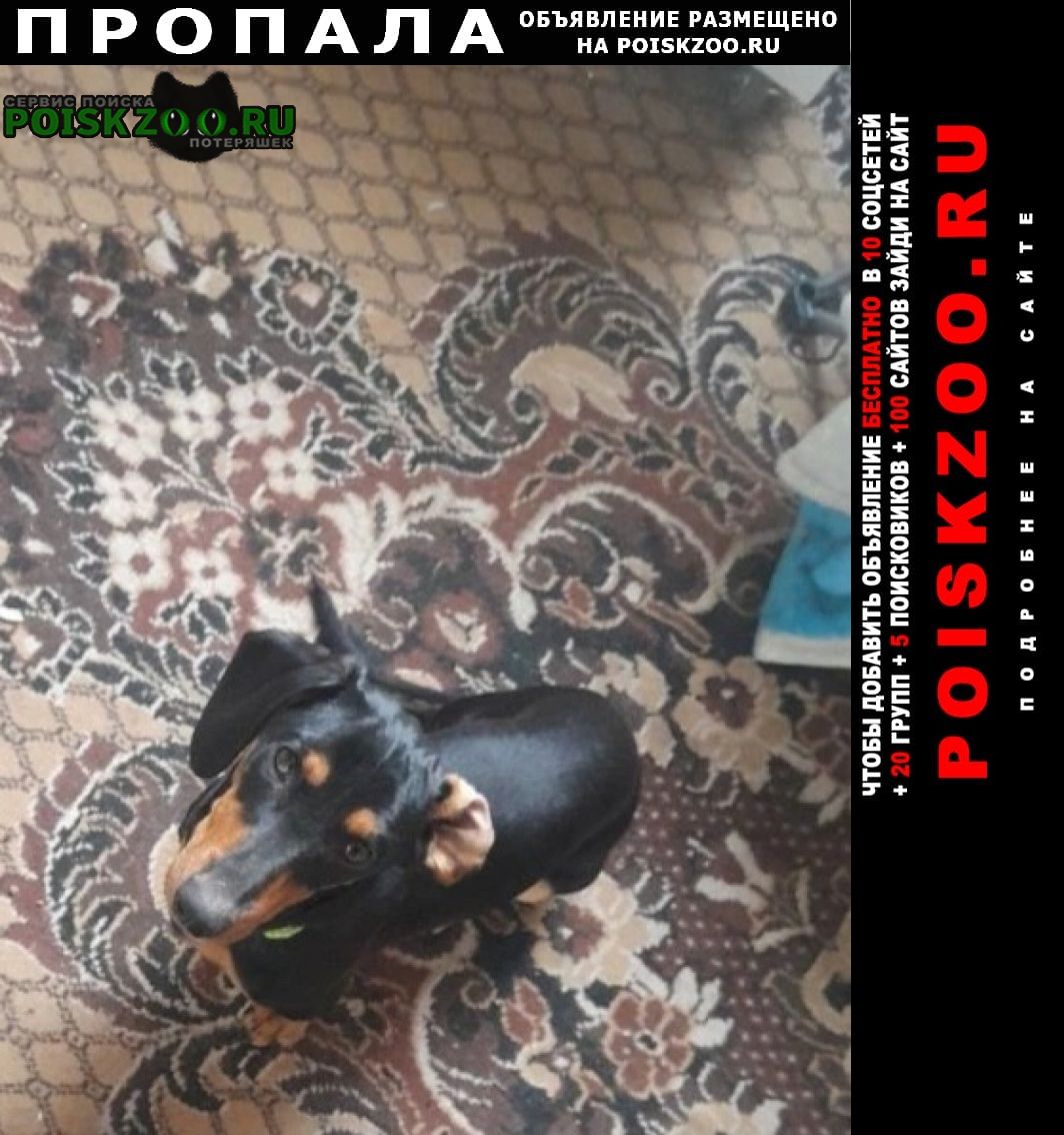 ���� �������� ����� ������� �����