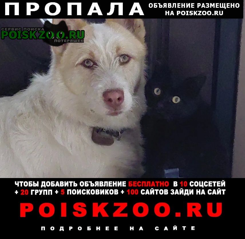 ���� ������� ������ ������ ������ ����� � ���������