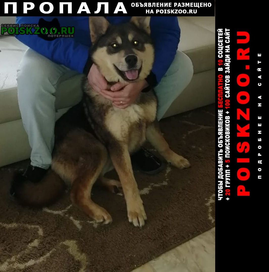 ���� ������� ������ ������