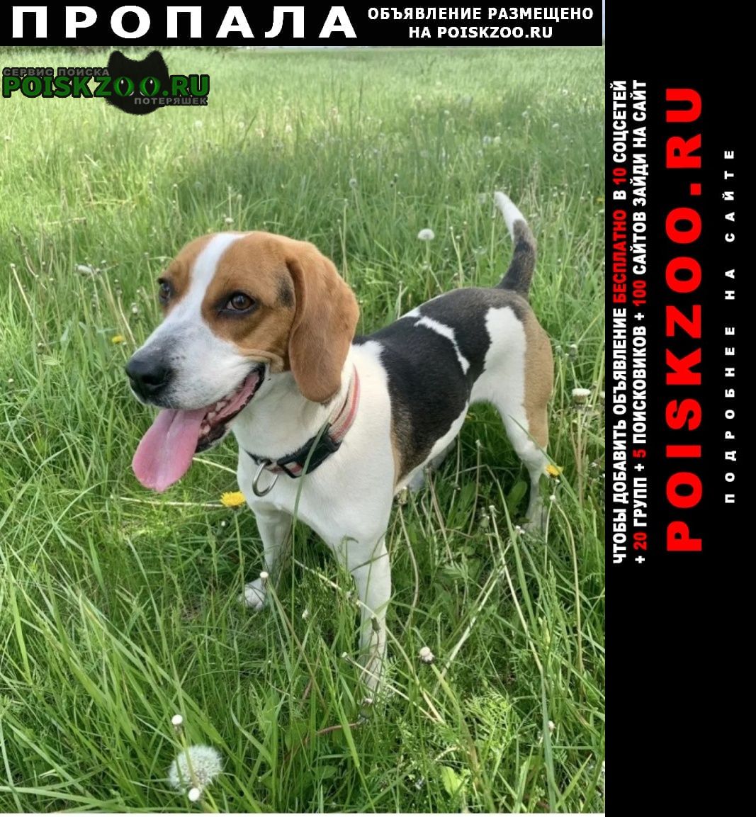 ���� ������� ������ ��������� �������� ���������� ������