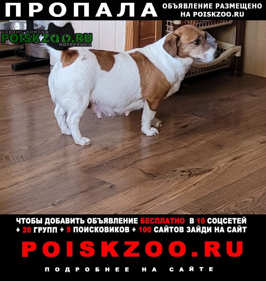 ���� ������� ������