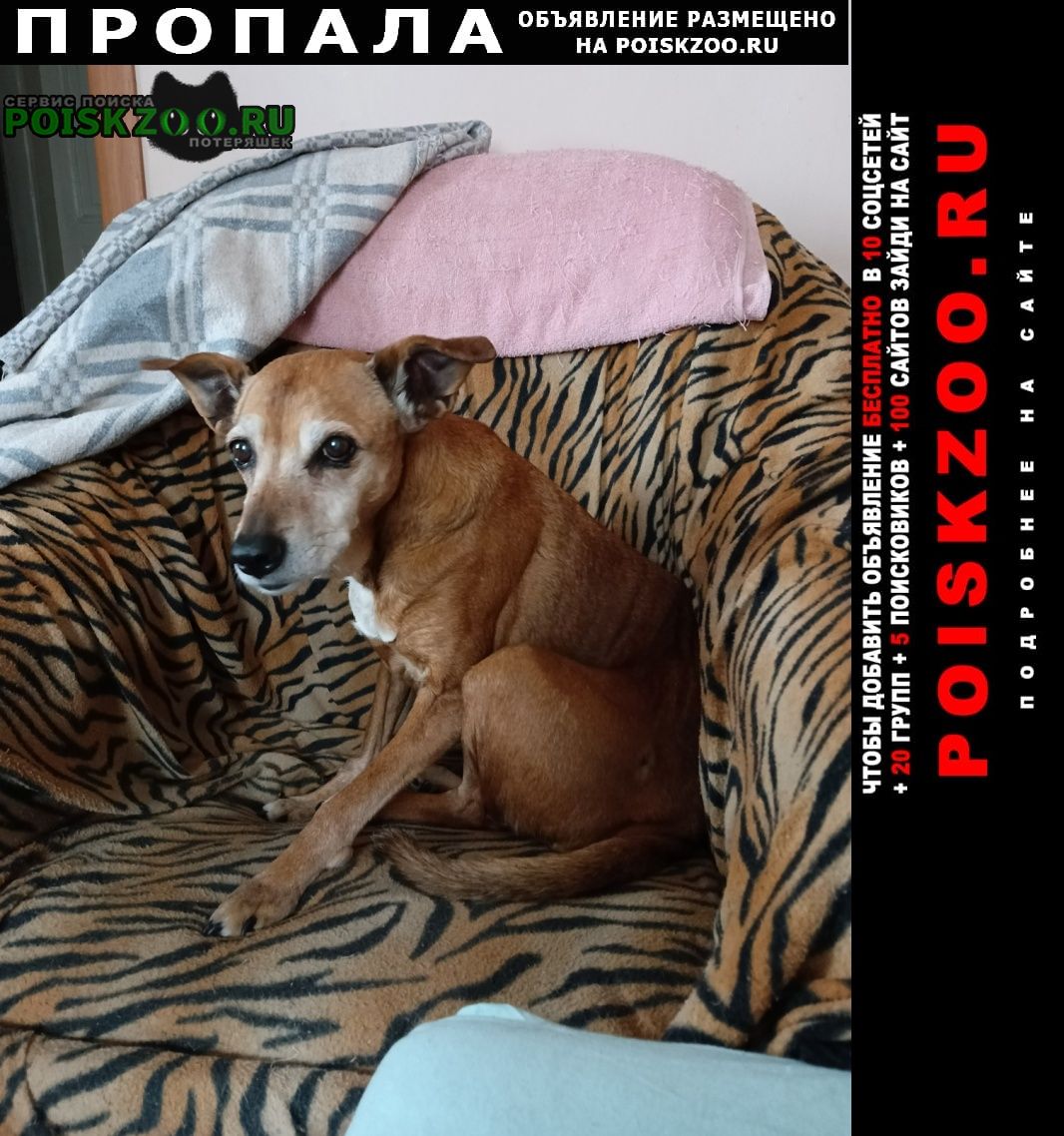 ���� ������� ������ ������ ������ ����� �����