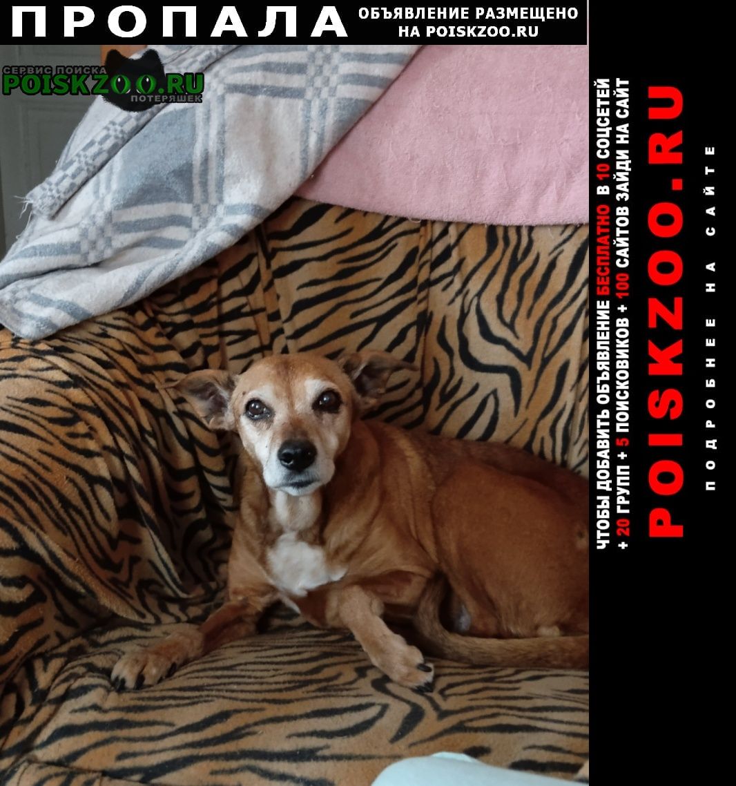 ���� ������� ������ ������ ������ ����� �����