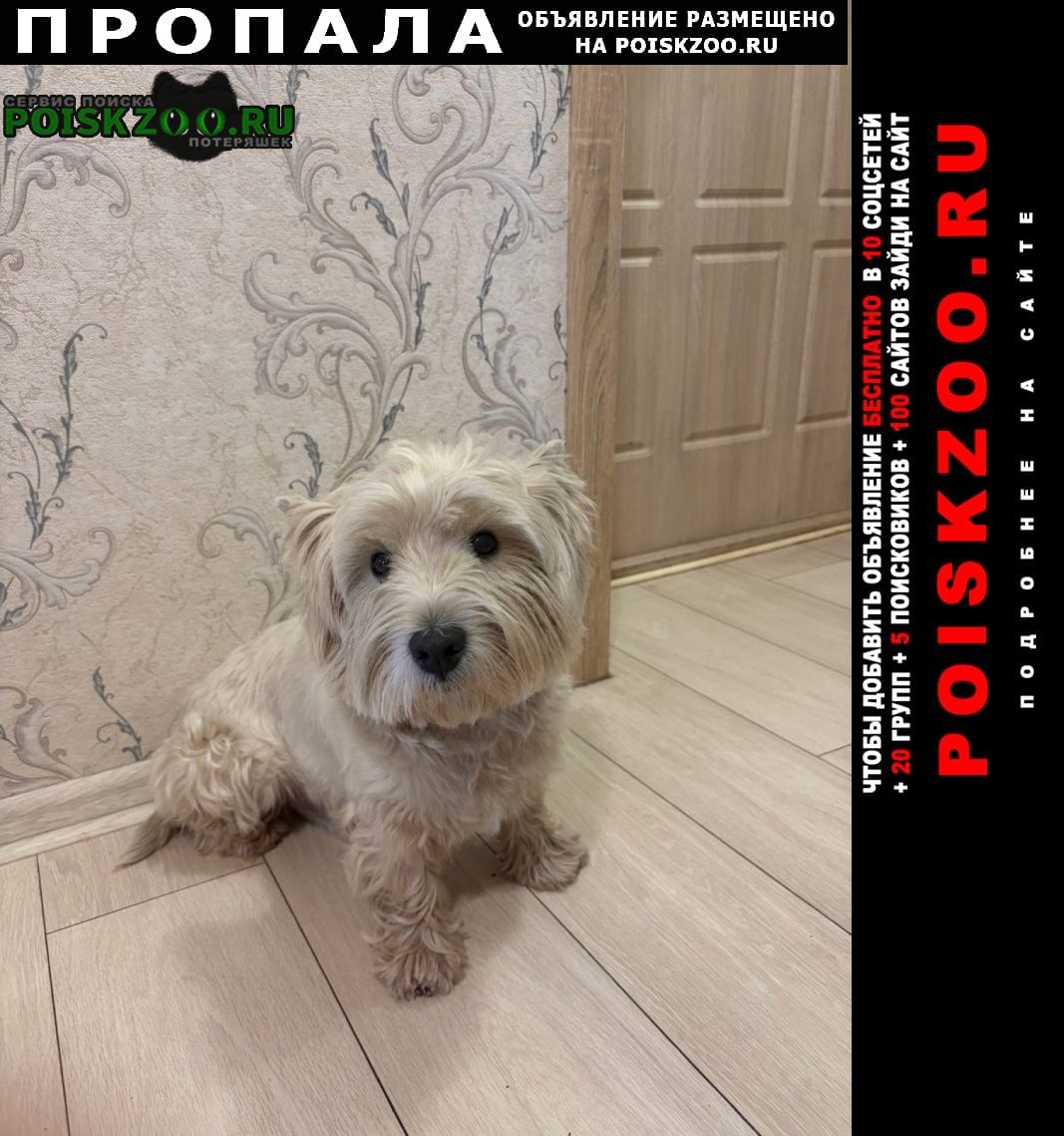 ���� ������� ������ ������ ����� ������