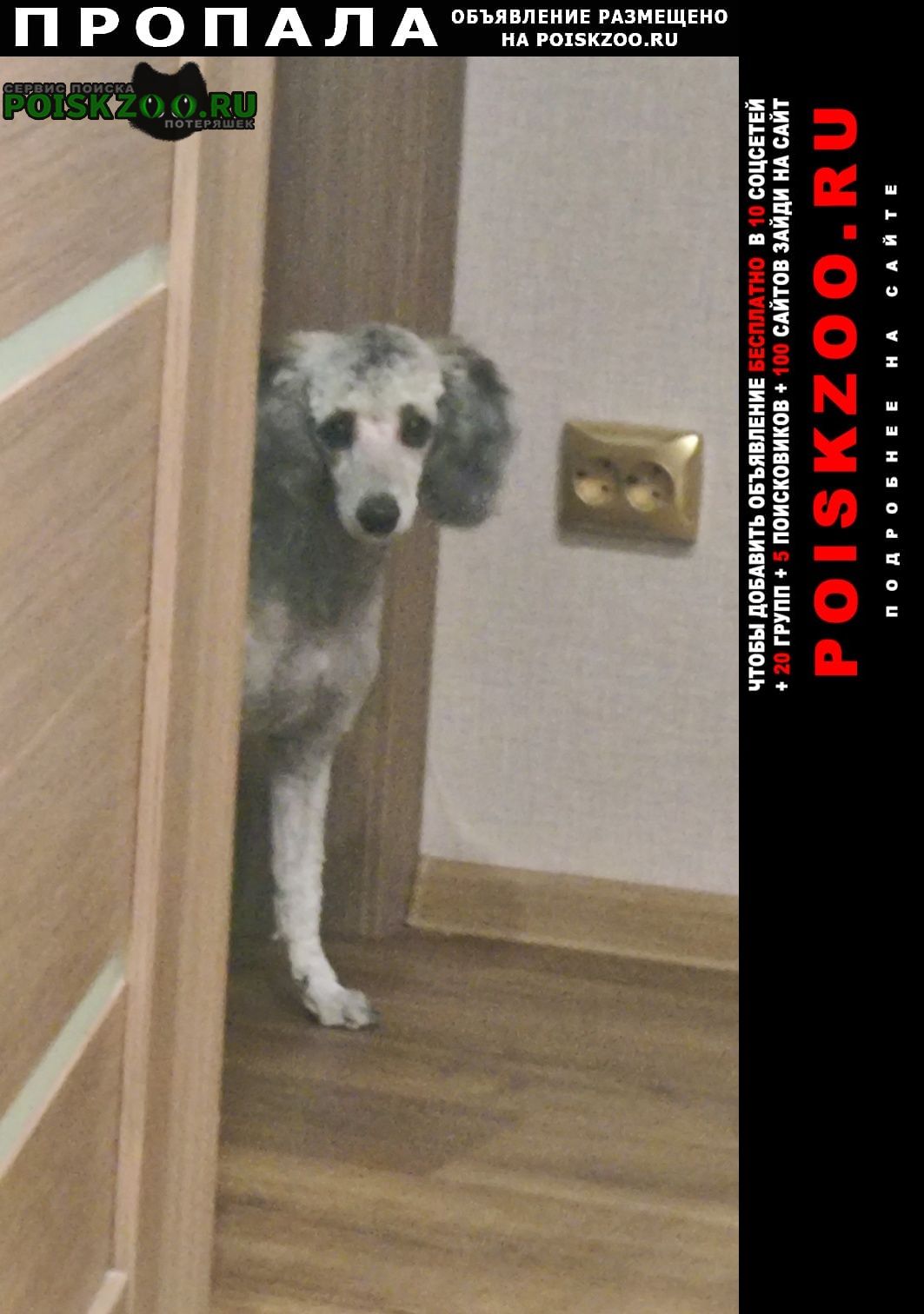 ���� ������� ������ ������ 6 �������, � ���������� ������