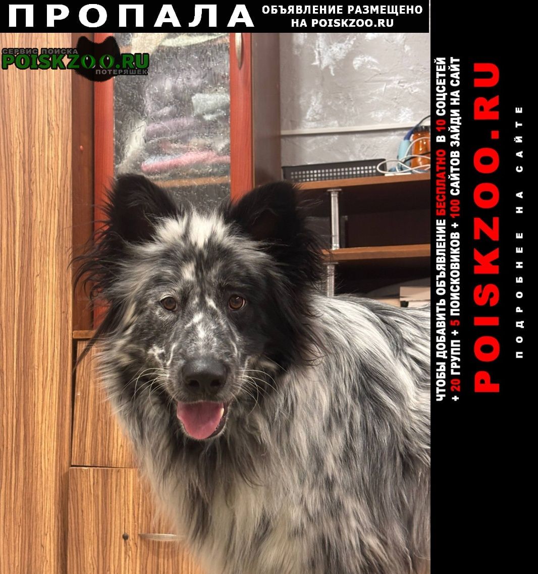 ���� ������� ������ ������