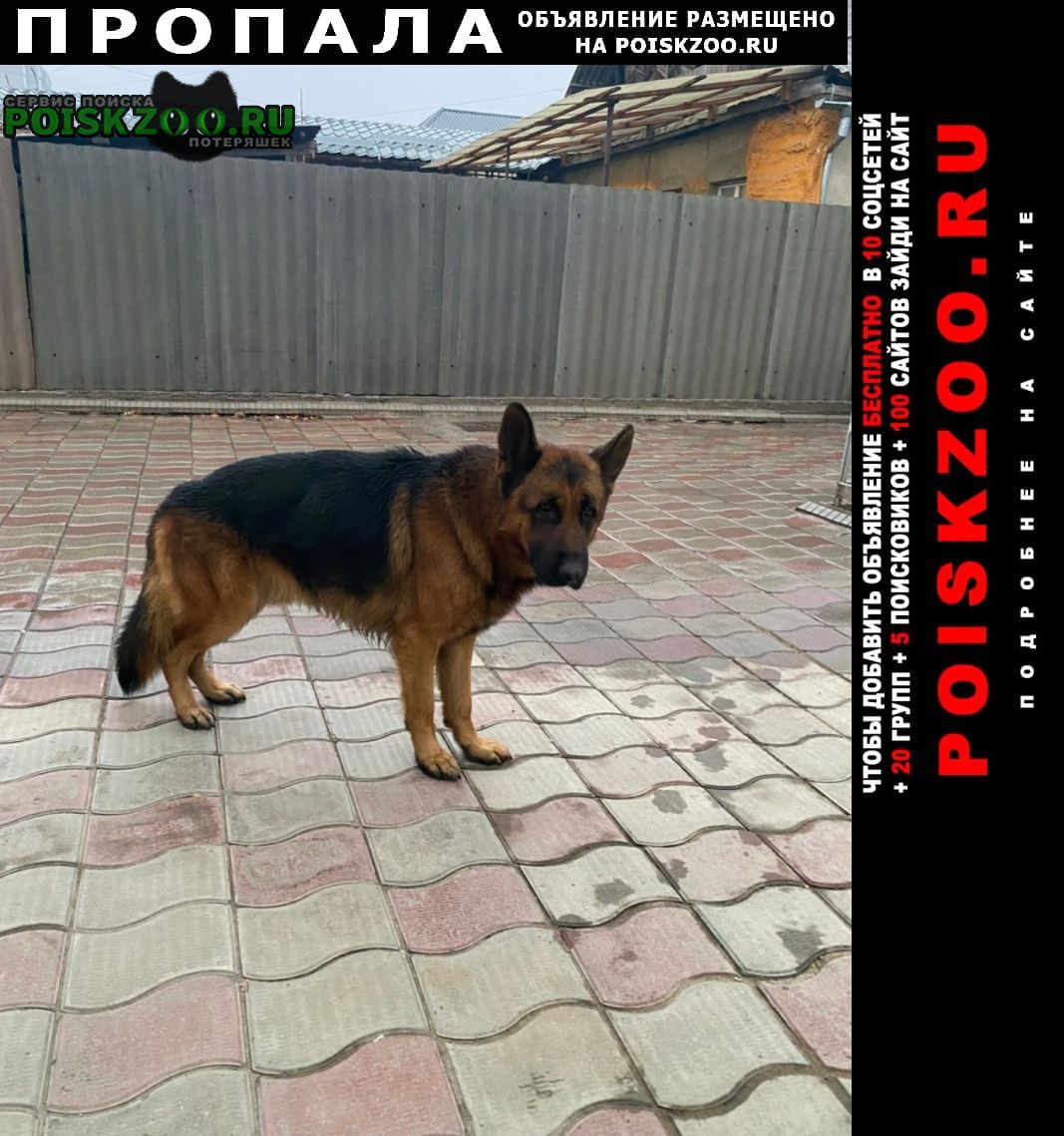 ���� ������� ������