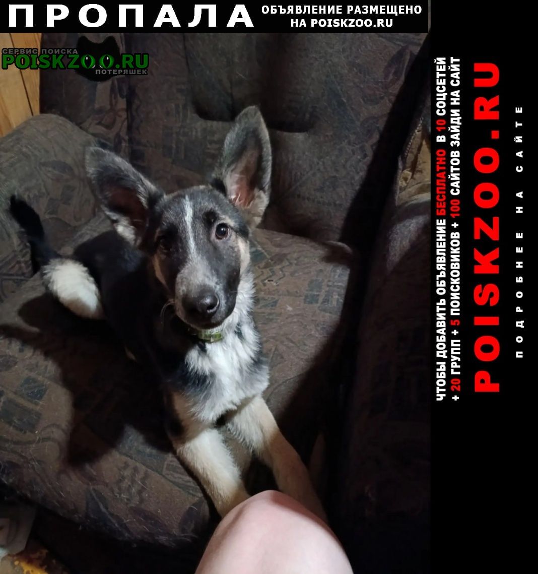 ���� ������� ������