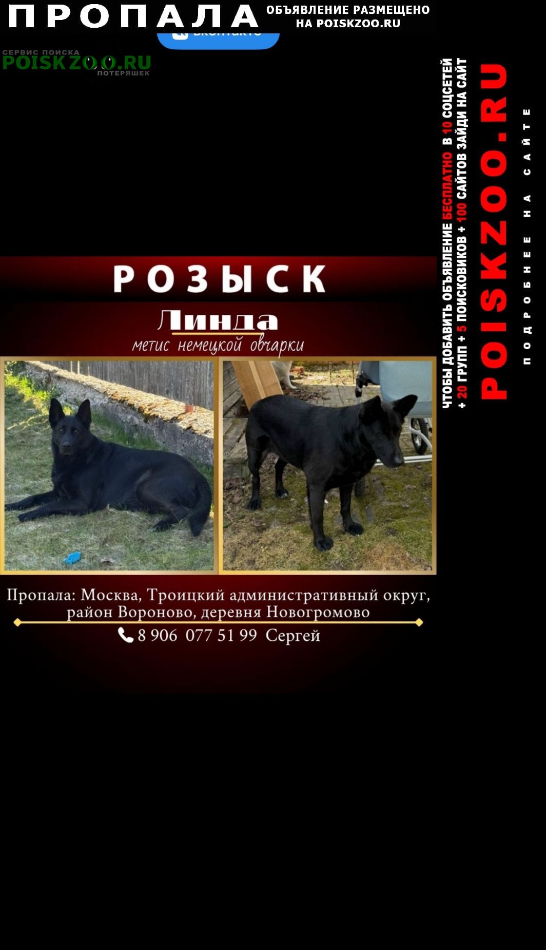 ���� ������� ������