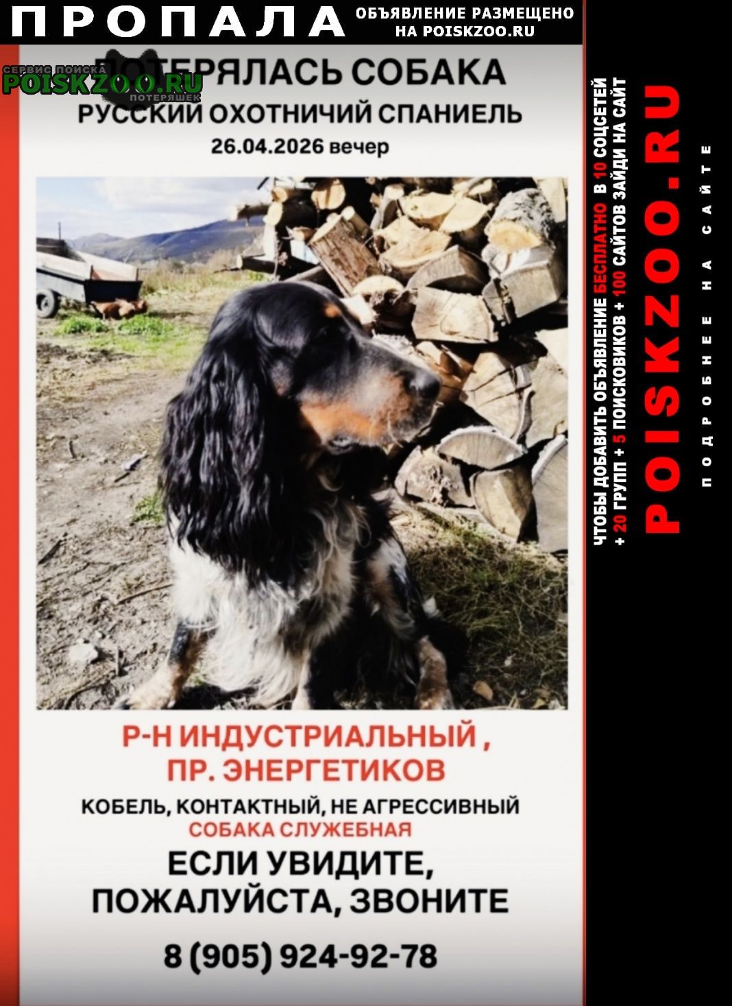 ���� ������� ������ ������