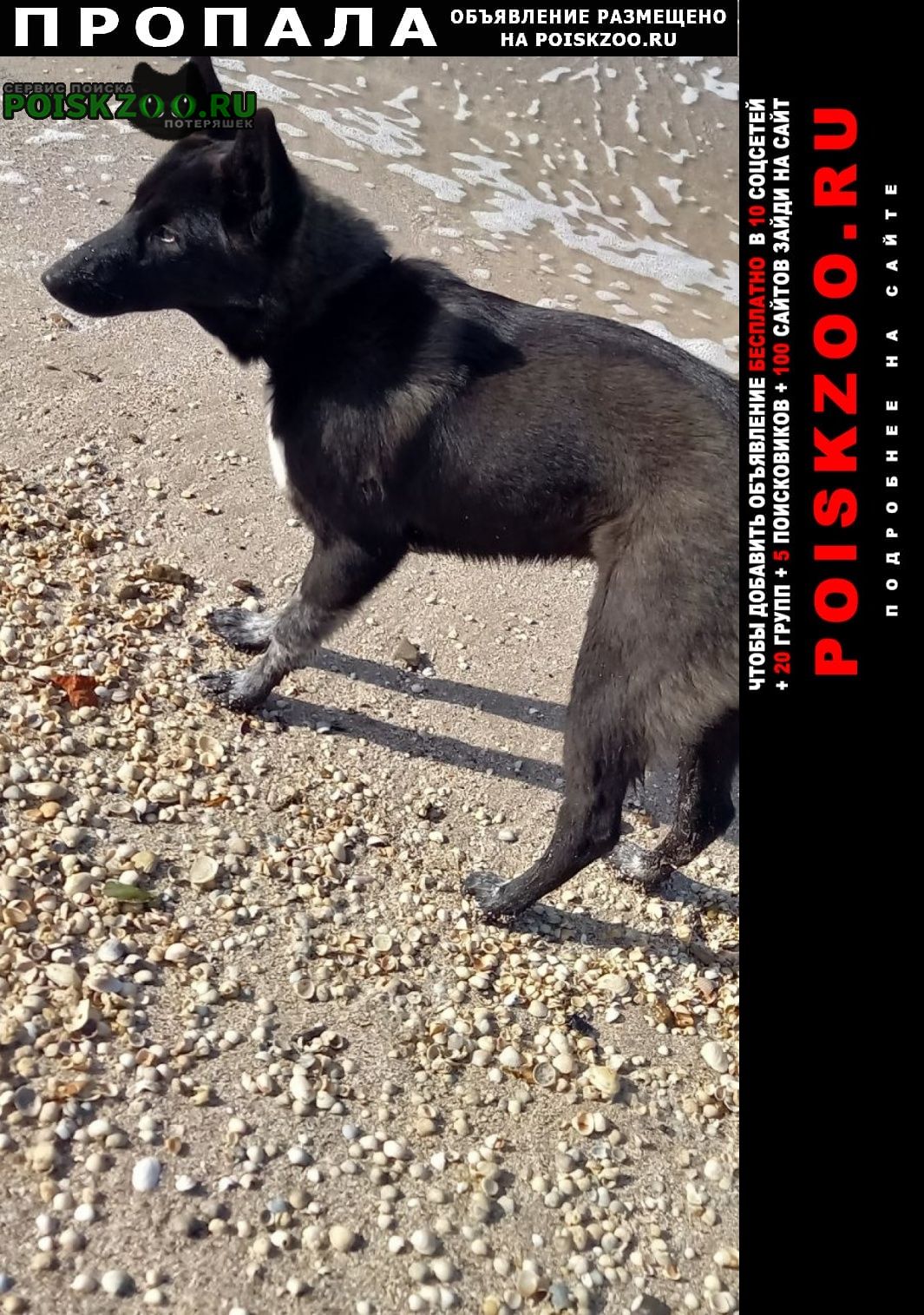 ���� ������� ������