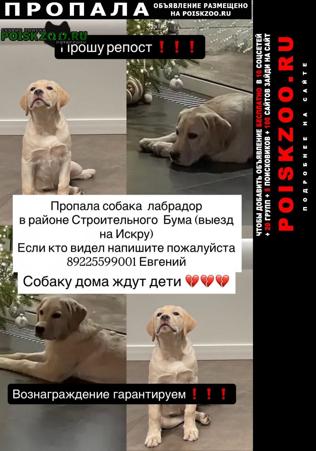 ���� ������� ������ ������ �������� ( ����� �������)