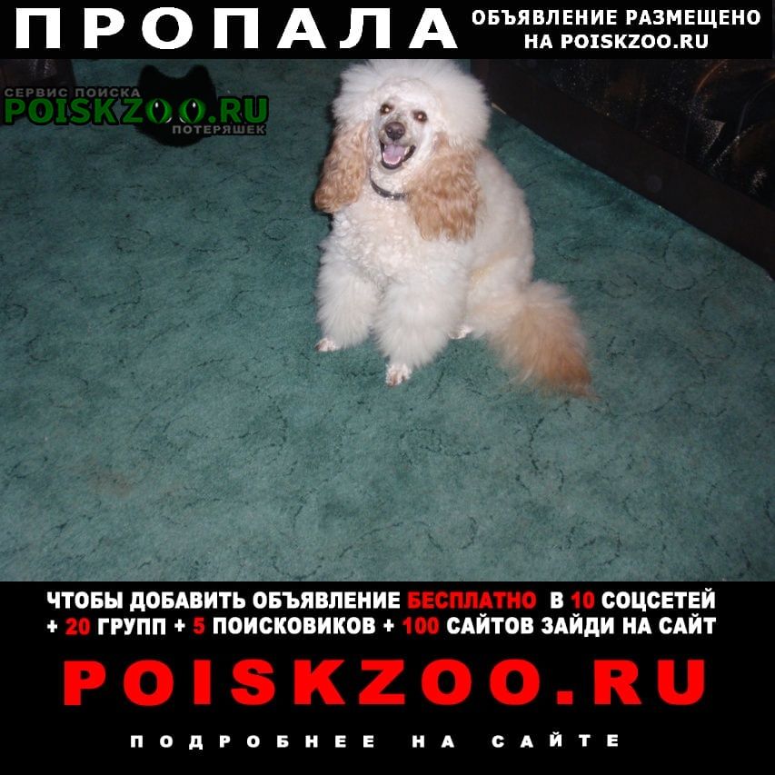 ���� ������� ������ ������ ����� ������