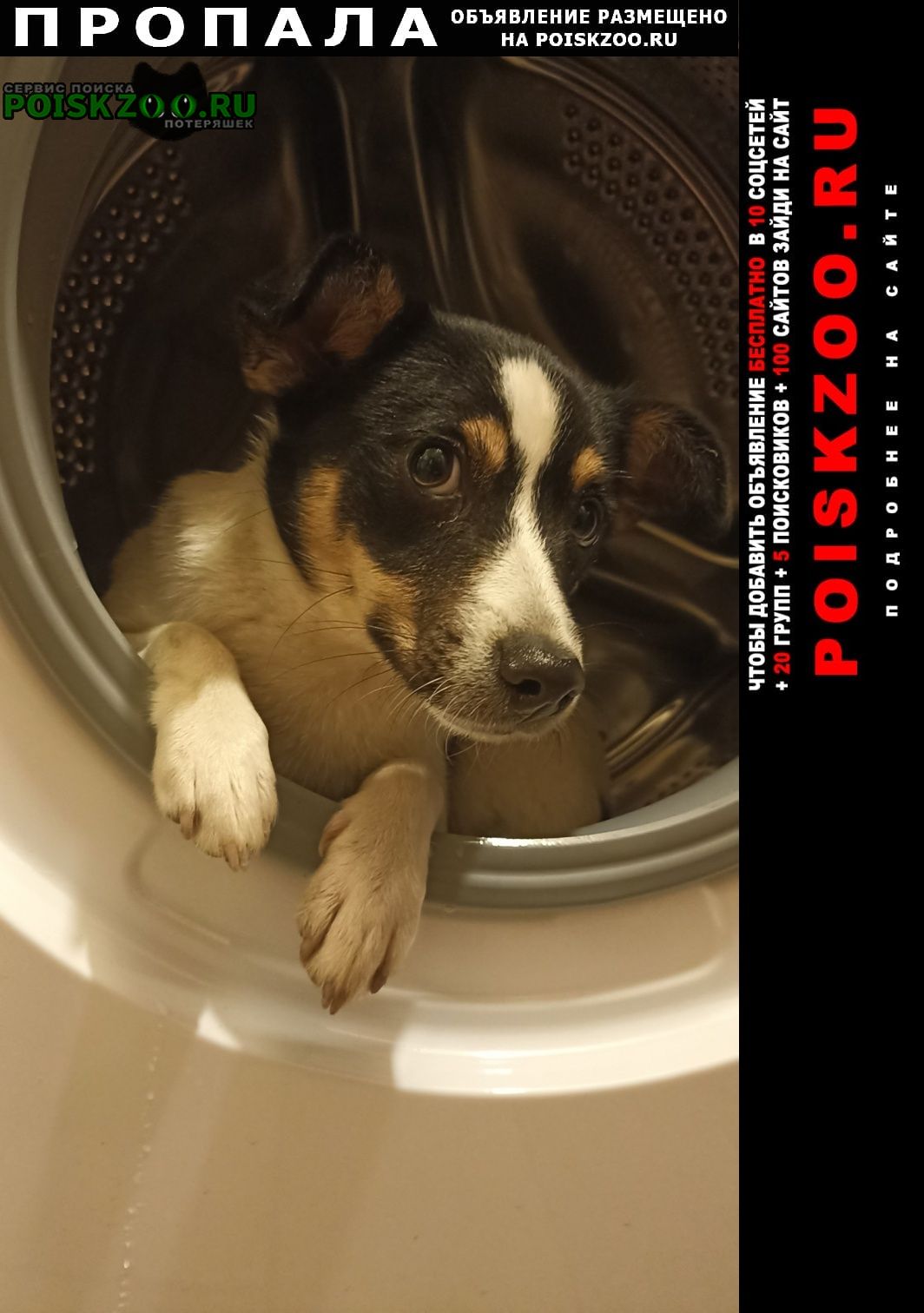 ���� ������� ������