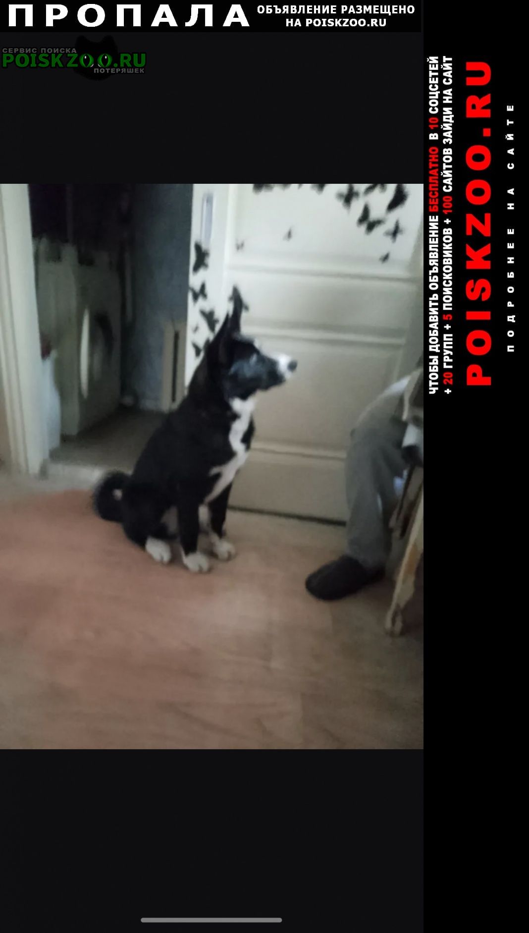 ���� ������� ������ ������ ����� ������ ������ ����
