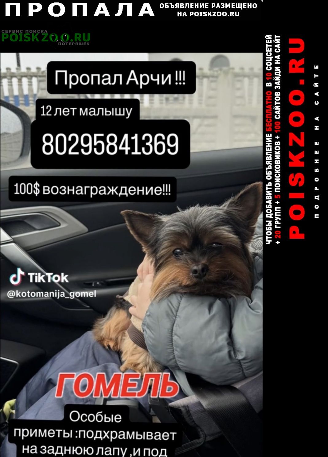 ���� �������� ����� ������ ����������� ������