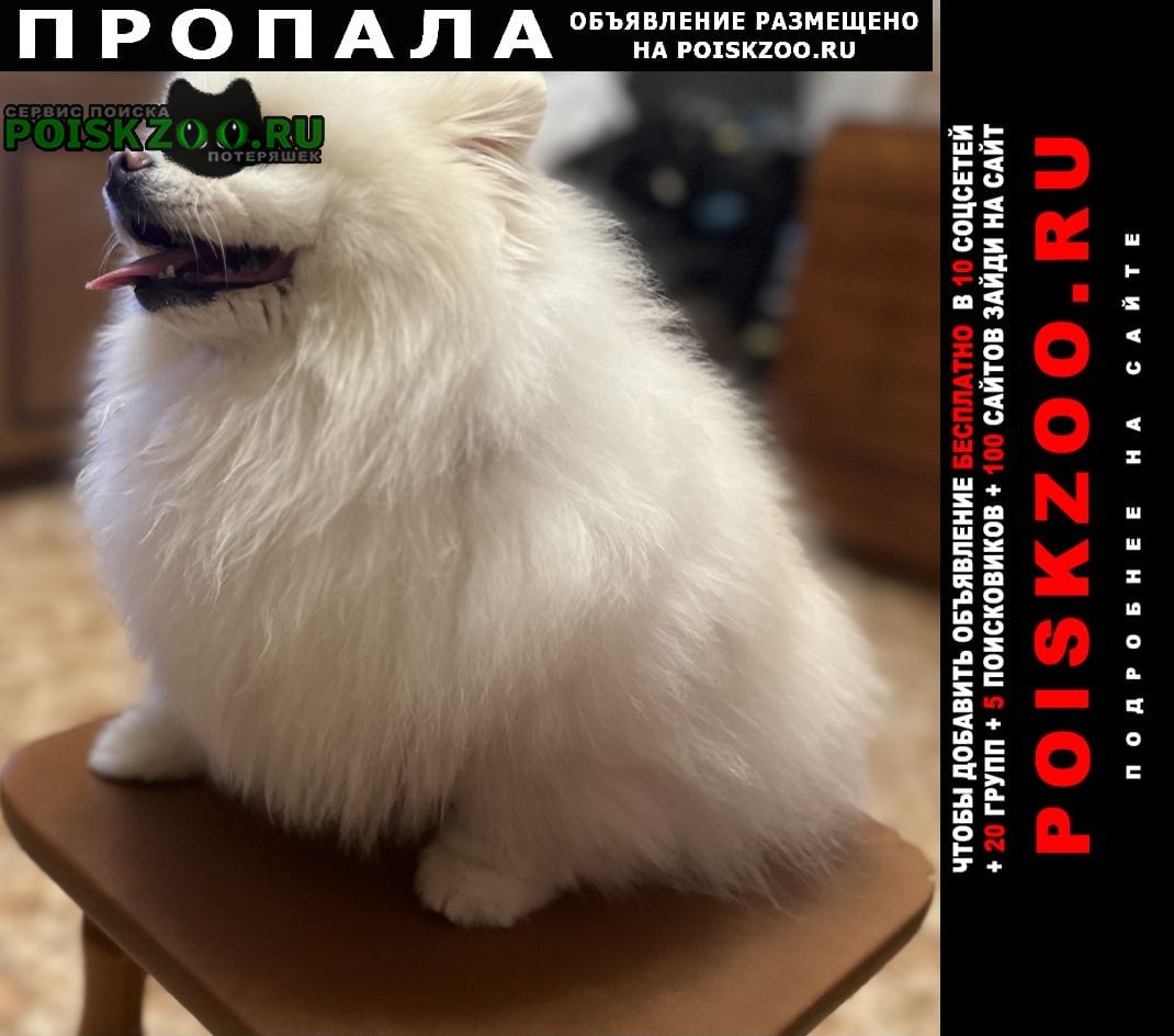 ���� ������� ������ ����� ���� � ������ ���������