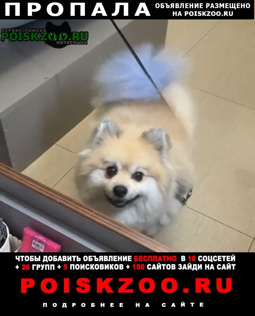 ���� ������� ������ ������ ����-���������� ���� � ���������� ������