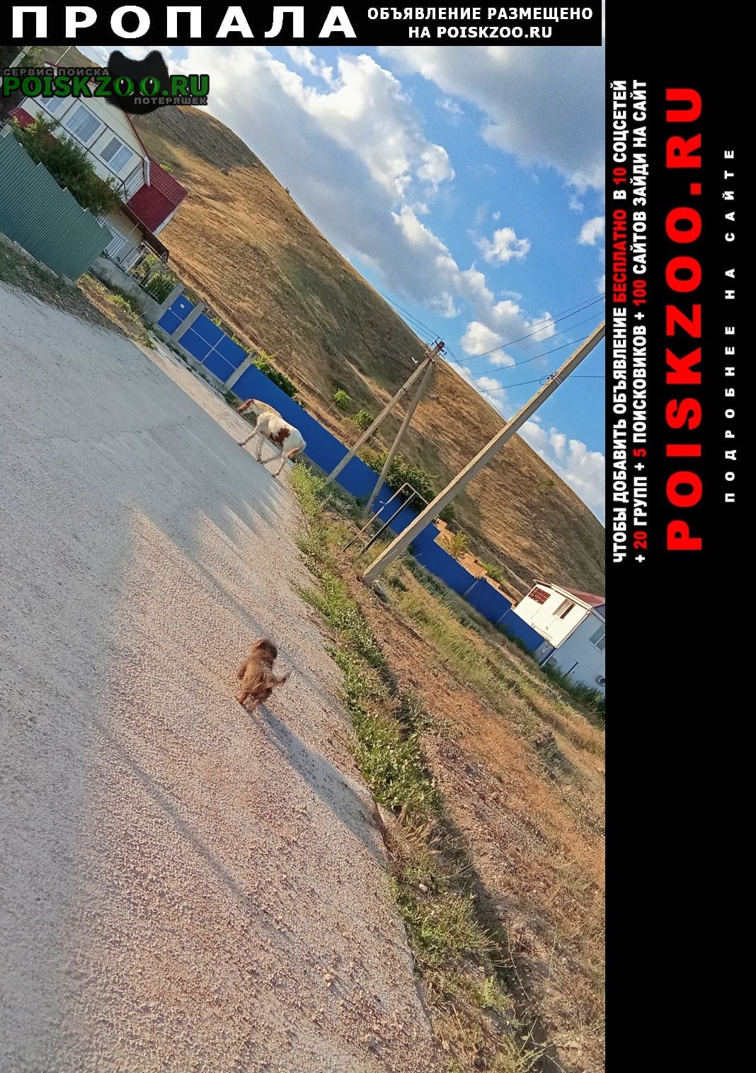 ���� ������� ������ ������ � ��������� � ������ ��� 2026 ����