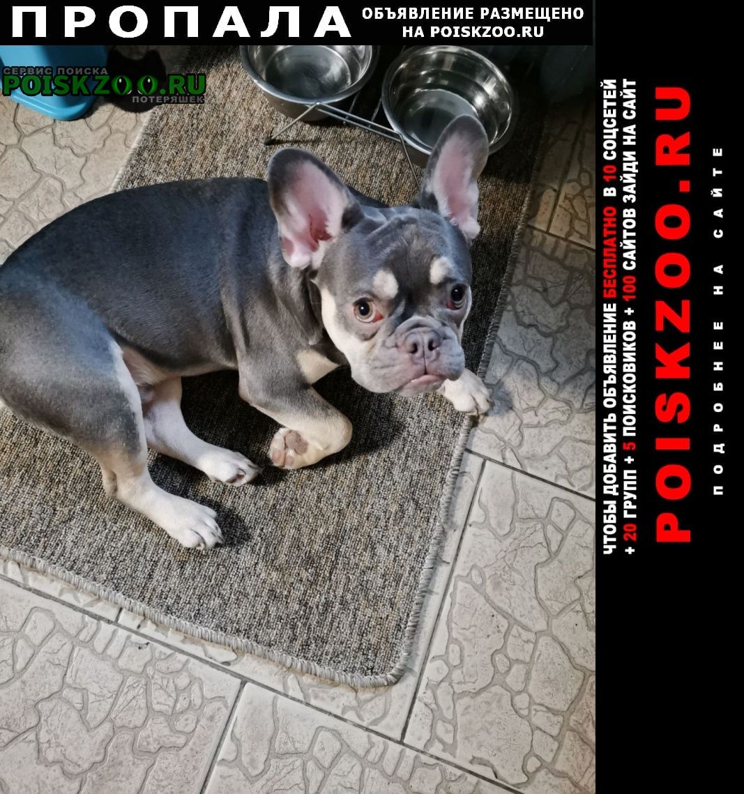 ���� ������� ������ ������ ������ ����� �������