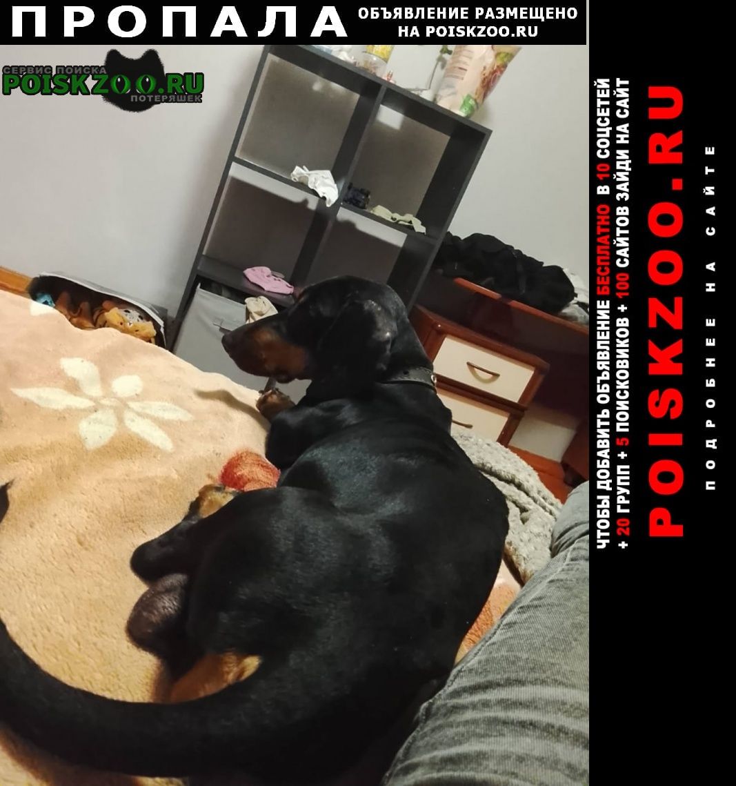 ���� ������� ������ ������ � ������� ������ ������ ����� ���