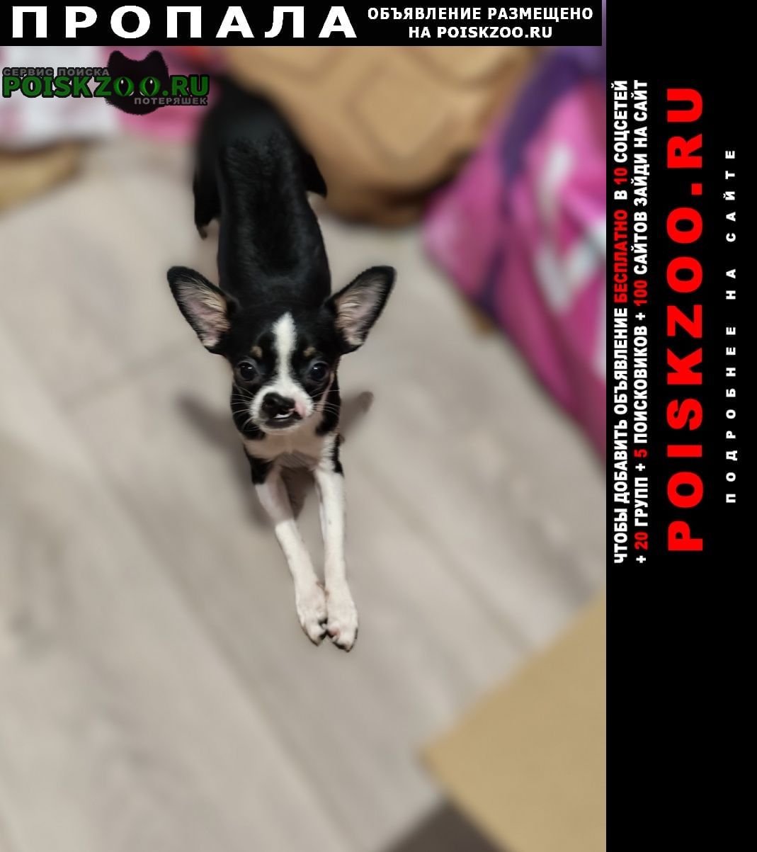 ���� ������� ������ ������ ����� �����
