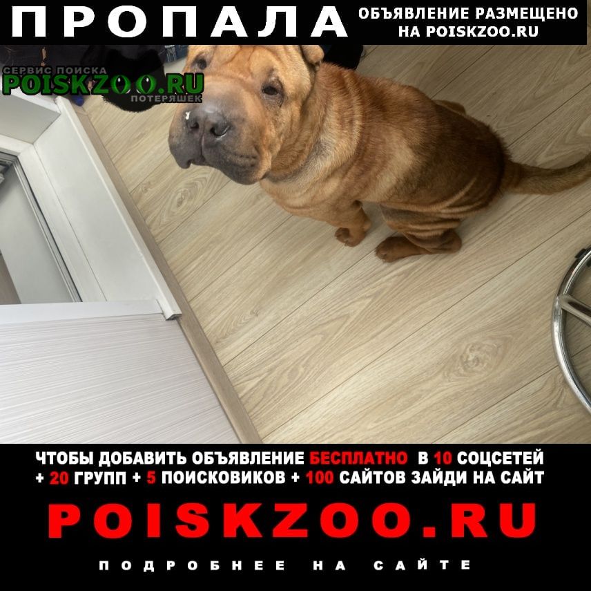 ���� ������� ������ ������ ������ �����