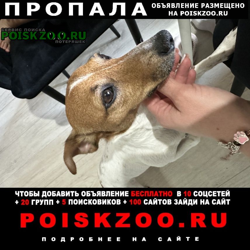 ���� ������� ������ ���� ������