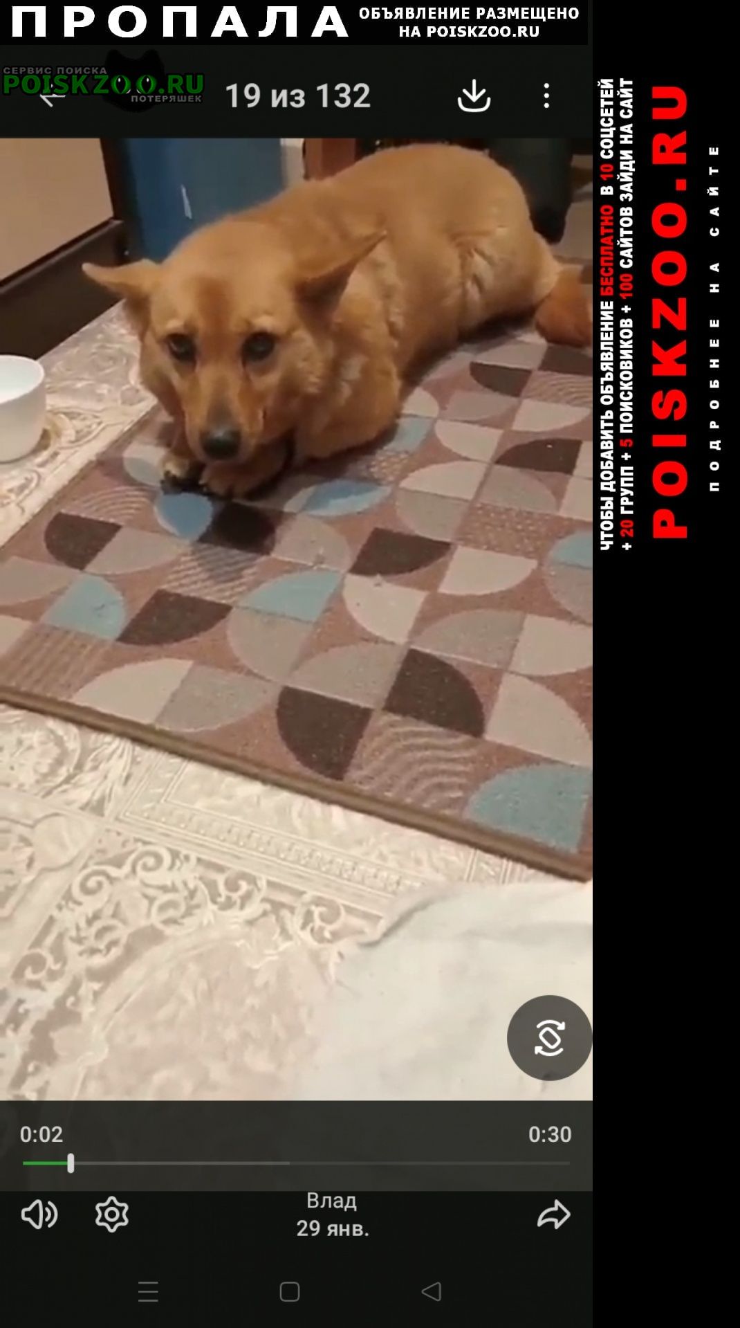 ���� ������� ������ ����� � ��������