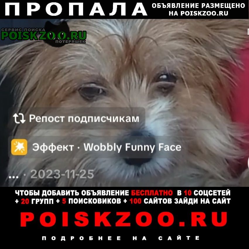 ���� ������� ������ ���� ������ � 2023 ����
