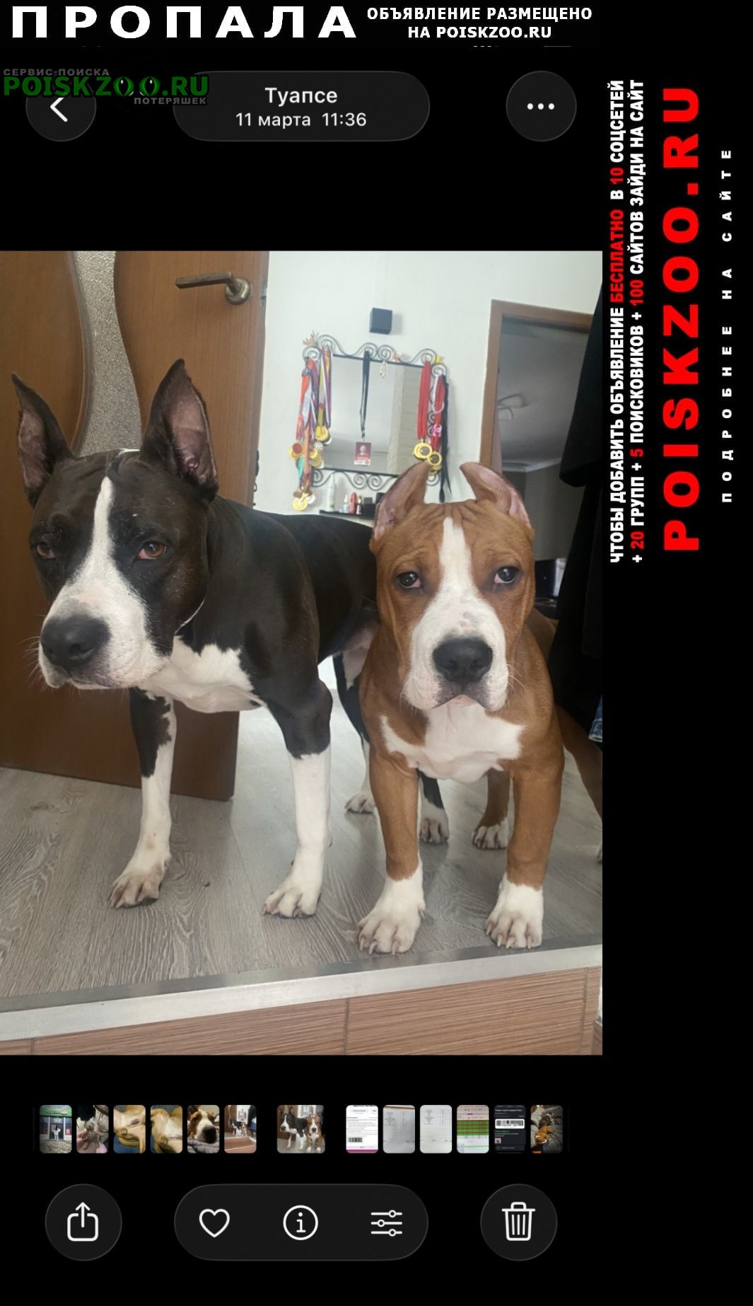 ���� ������� ������ ������ � ������ ������� ����� 16:00