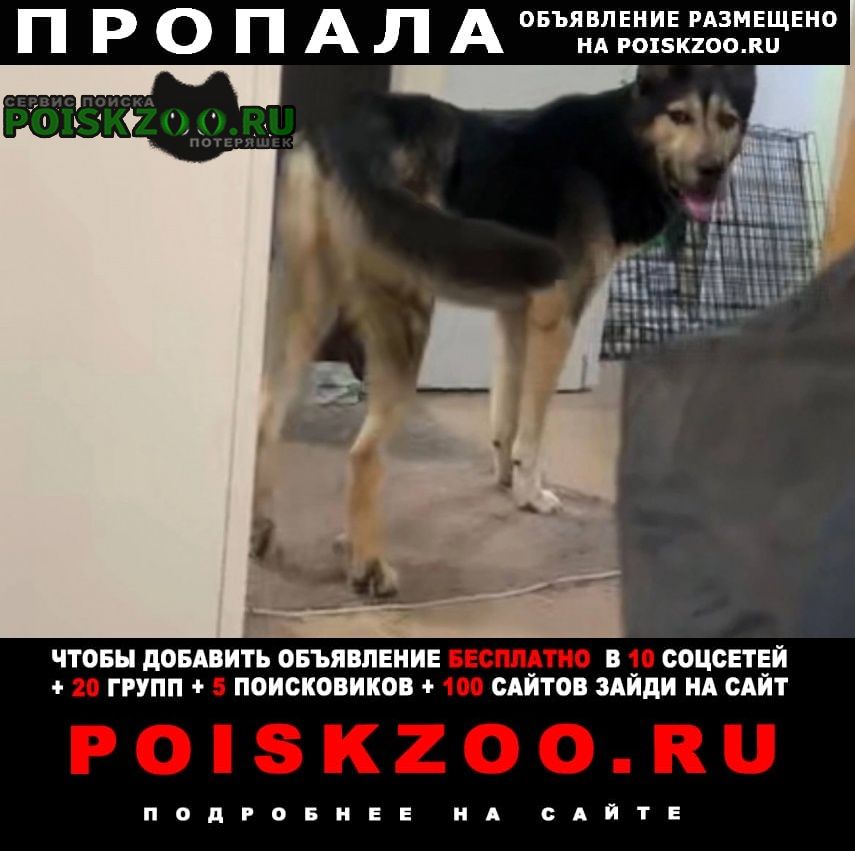 ���� ������� ������ ������ ������ �� ������ �����